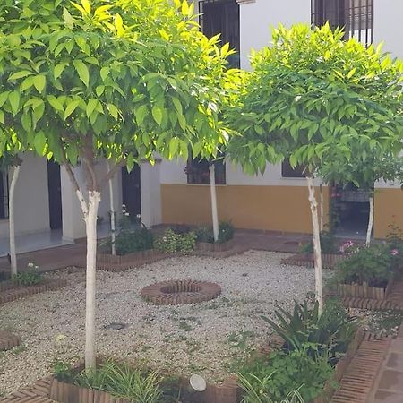 Precioso Apartamento Junto A Plaza La Corredera Córdoba Exteriér fotografie