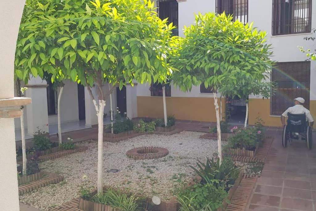 Precioso Apartamento Junto A Plaza La Corredera Córdoba Exteriér fotografie